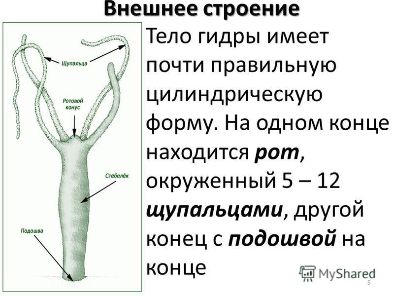 Кракен невозможно зарегистрировать пользователя